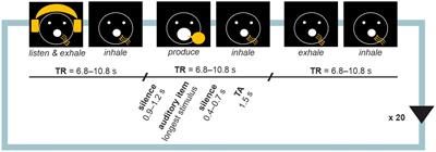 Differential effects of ageing on the neural processing of speech and singing production